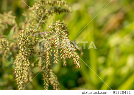 Fall landscape 91228451