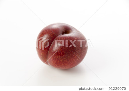 Plum 91229070
