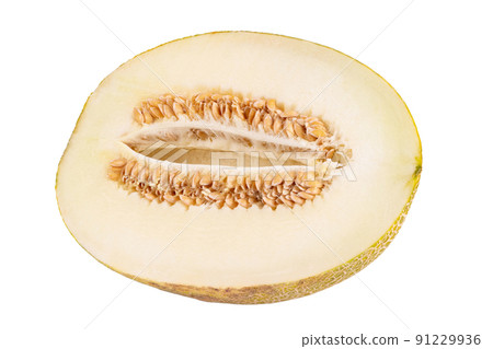 Yellow melon isolated on white background. Clipping Path. Yellow melon isolated on white background. Clipping Path. 91229936