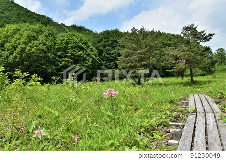 福島縣南會津町高清水自然公園 91230049
