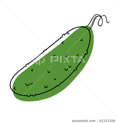 Green cucumber. Organic vegetarian product grown by farmers in a greenhouse. Stylized flat vegetable. The contour of the cucumber line. Cucumber vector. Green cucumber. Organic vegetarian product grown by farmers in a greenhouse. Stylized flat vegetable. The contour of the cucumber line. Cucumber vector. 91231206