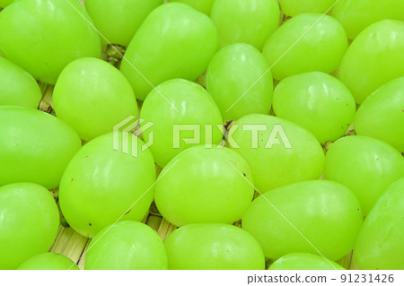 Grape Shine Muscat Grape Shine Muscat 91231426