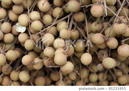 Longyan Stock on shop for sell 91231955