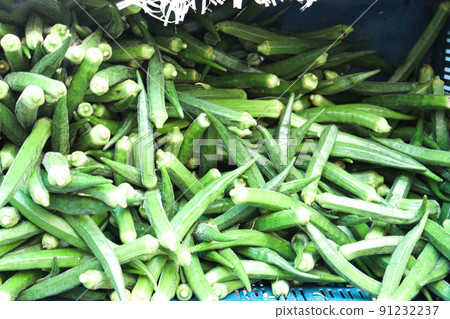 lady finger stock on shop for sell 91232237