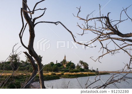 Hala Sultan Tekke Mosque behind tree branches on Salt lake, Larnaca, Cyprus Hala Sultan Tekke Mosque behind tree branches on Salt lake, Larnaca, Cyprus 91232280