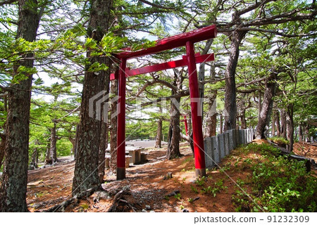 Koomitake Shrine（初夏，晴天，富士山，五合目，朱紅色鳥居） 91232309