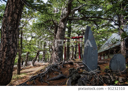 Koomitake Shrine (early summer, fine weather, Mt. Fuji, 5th station, vermilion torii stone monument) Koomitake Shrine (early summer, fine weather, Mt. Fuji, 5th station, vermilion torii stone monument) 91232310