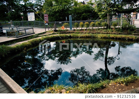 忍野八海(初夏、晴天、富士山、池塘倒影) 忍野八海(初夏、晴天、富士山、池塘倒影) 91232516