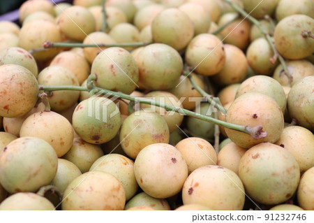 Tasty Baccaurea motleyana Stock on shop for sell Tasty Baccaurea motleyana Stock on shop for sell 91232746