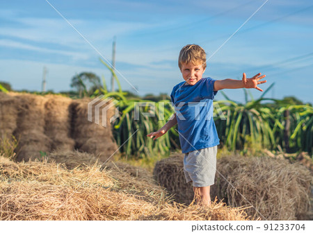 Boy smile play dance grimace show off blue t-shirt stand on haystack bales of dry grass, clear sky sunny day. Balance training. Concept happy childhood, children outdoors, clean air close to nature Boy smile play dance grimace show off blue t-shirt stand on haystack bales of dry grass, clear sky sunny day. Balance training. Concept happy childhood, children outdoors, clean air close to nature 91233704