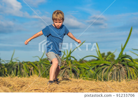 Boy play stand on haystack bales hay, getting ready to jump looking down, clear blue sky sun day. Outdoor kid children summer leisure activities. Concept happy childhood countryside, air nature Boy play stand on haystack bales hay, getting ready to jump looking down, clear blue sky sun day. Outdoor kid children summer leisure activities. Concept happy childhood countryside, air nature 91233706