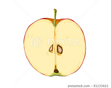 PNG水果秋冬季紅蘋果半垂直半橫截面真實 91233822