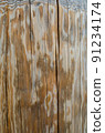 Tree structure. Macro 91234174