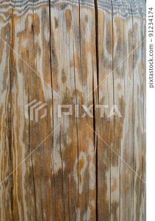 Tree structure. Macro Tree structure. Macro 91234174