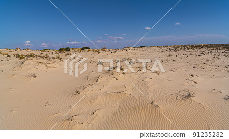 Donana National Park in Spain A UNESCO World Heritage Site Donana National Park in Spain A UNESCO World Heritage Site 91235282