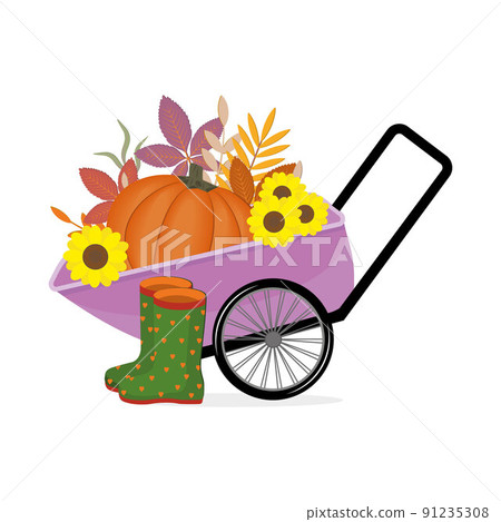 Wheelbarrow with a large pumpkin, sunflowers and rubber boots, color vector isolated illustration 91235308