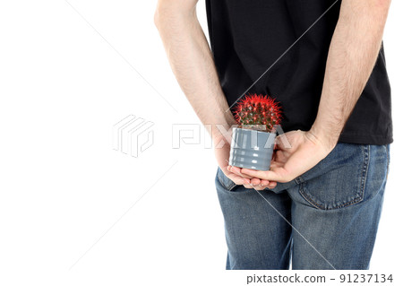 Man holds cactus, isolated on white background. Hemorrhoids concept Man holds cactus, isolated on white background. Hemorrhoids concept 91237134