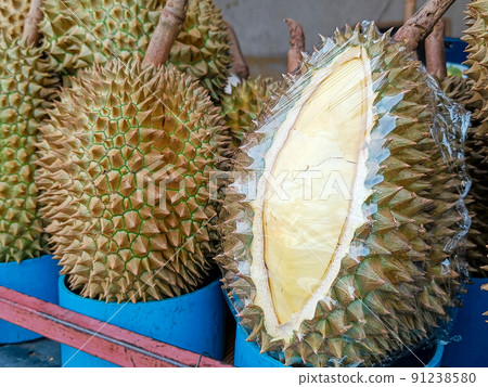 Durian fruit, show durian skin for sale, popular in Thailand Durian fruit, show durian skin for sale, popular in Thailand 91238580