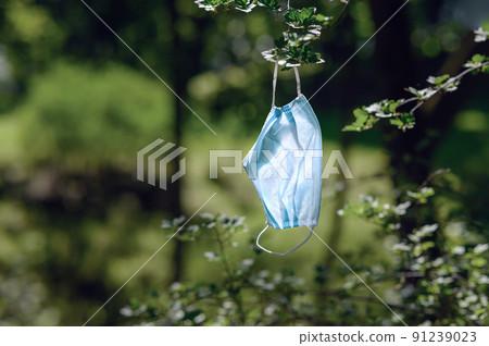 disposable used medical mask hanging on a tree in the forest. 91239023