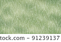 Blurry watercolor gray green wallpaper with dandelion leaves outlines 91239137