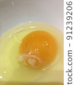 幸運蛋 2 91239206