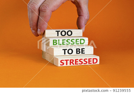 Too blessed to be stressed symbol. Concept words Too blessed to be stressed on wooden blocks. Beautiful orange table orange background. Psychological and too blessed to be stressed concept. Copy space Too blessed to be stressed symbol. Concept words Too blessed to be stressed on wooden blocks. Beautiful orange table orange background. Psychological and too blessed to be stressed concept. Copy space 91239555