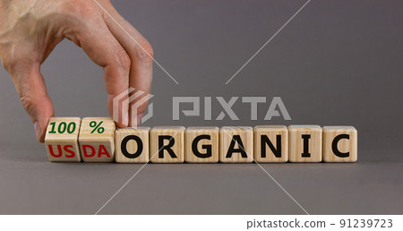 100 percent organic symbol. Fliped wooden cubes and changed words USDA organic to 100 percent organic. Beautiful grey background, copy space. Business, healthy lifestyle 100 percent organic concept. 91239723
