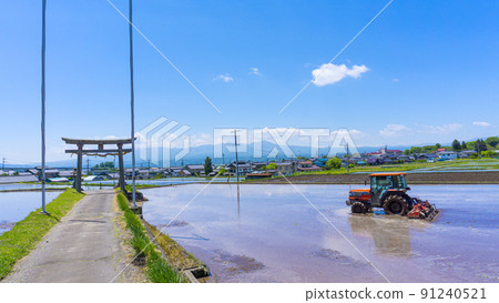 Summer blue sky and countryside rice field landscape Summer blue sky and countryside rice field landscape 91240521