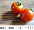 收穫的西紅柿 91240652