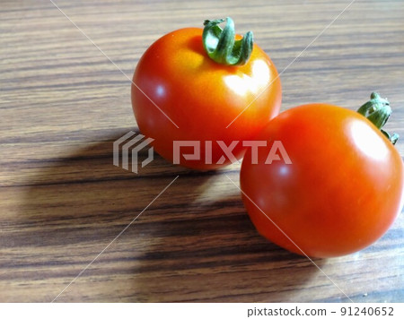 收穫的西紅柿 收穫的西紅柿 91240652