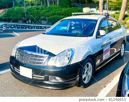 藍色帕托 91240653