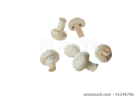 Tasty champignons mushrooms isolated on white background 91240796