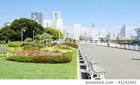 Early summer in Yamashita Park, Yokohama City, Kanagawa Prefecture Early summer in Yamashita Park, Yokohama City, Kanagawa Prefecture 91242001