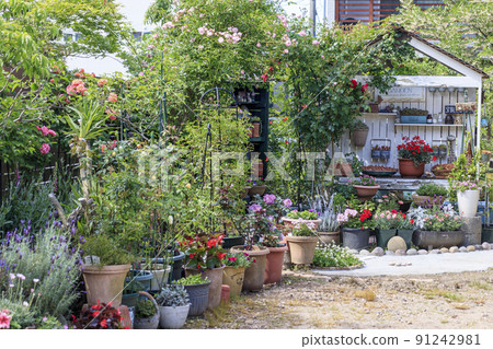 gardening gardening 91242981