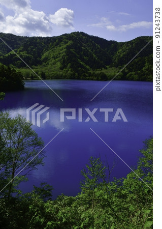 初夏的志賀高原和大沼池,美麗的藍色湖泊 初夏的志賀高原和大沼池,美麗的藍色湖泊 91243738