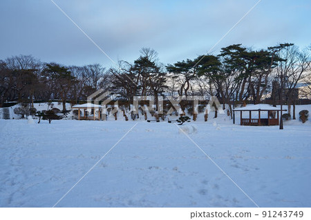 Senshu Park in winter, Akita City, Akita Prefecture Senshu Park in winter, Akita City, Akita Prefecture 91243749