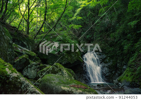 Kurogamaru moss, fresh green and waterfall Kurogamaru moss, fresh green and waterfall 91244053