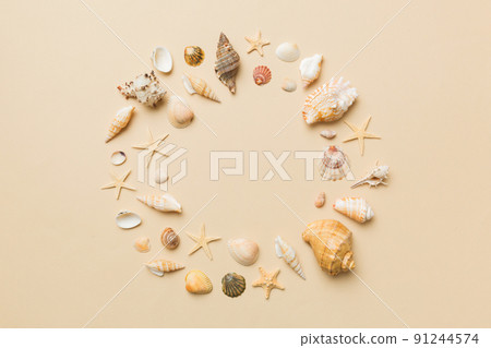 Summer time concept on colored background. Seashells from ocean shore in the shape of frame separated with space for text top view 91244574