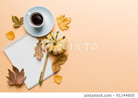 Autumn composition 91244605