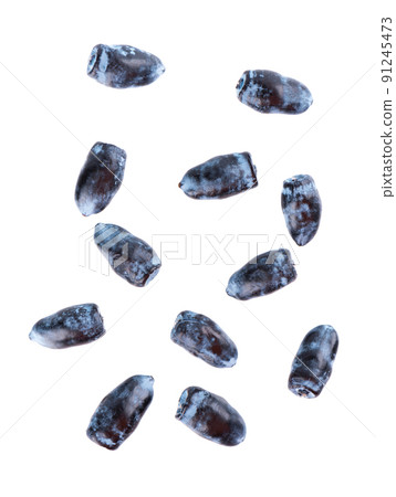 Honeysuckle isolated on white background. Ripe berries of honeysuckle. Clipping path. Top view. Honeysuckle isolated on white background. Ripe berries of honeysuckle. Clipping path. Top view. 91245473