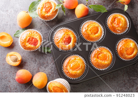 Apricot Yogurt Muffins close-up in a baking dish. horizontal top view Apricot Yogurt Muffins close-up in a baking dish. horizontal top view 91248023