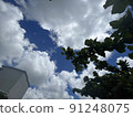 Looking up at the sky in the city 91248075