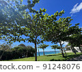 A large park near the sea 91248076