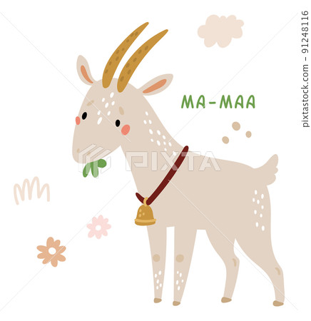Cute goat talking. Animal on farm with ma-maa sound 91248116