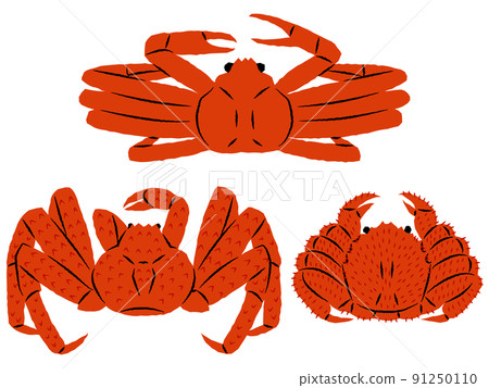 螃蟹插畫集|雪蟹、帝王蟹、毛蟹|矢量 螃蟹插畫集|雪蟹、帝王蟹、毛蟹|矢量 91250110