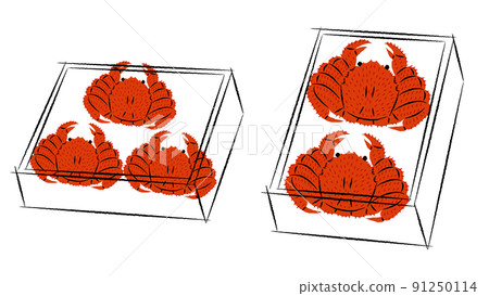 Illustration of boxed horsehair crab | Vector Illustration of boxed horsehair crab | Vector 91250114
