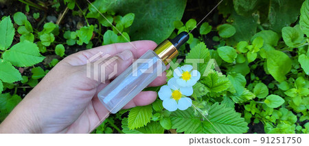 A hand and a bottle of serum with a pipette on a background of green vegetation and strawberry flowers. Container for cosmetic products for skin care 91251750