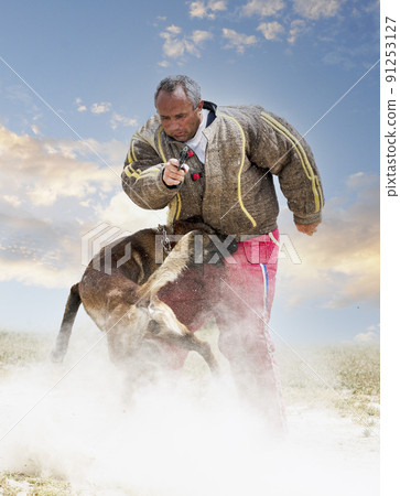 training of belgian shepherd training of belgian shepherd 91253127