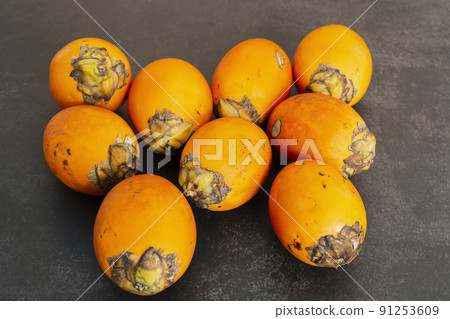 Ripe betel nut or areca nut isolated on dark background. Ripe betel nut or areca nut isolated on dark background. 91253609