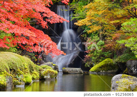 小峰神社小峰園的紅葉栃木縣鹿沼市 91256065